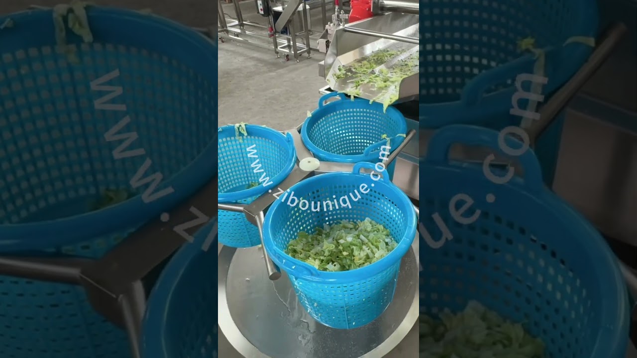 Vegetable washing line salad washer spin dryer vegetable cutting machine 