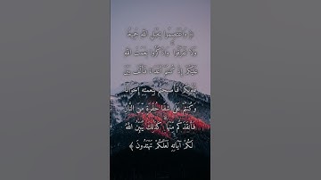 السورة: آل عمران القارئ: ياسر الدوسري الاية: 103