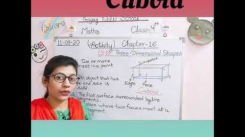 Class - 4 Maths / Activity / Chapter - 16 (Three dimensional shapes)/ (Part - I)