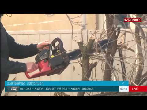 საქმიანი დილა 23. 11. 2016  -  უამინდობა ქუთაისში და ქუთაისის ახალი ლოგო