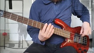 Muse - Will Of The People (bass cover)