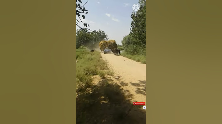 #Тико#mashinasi#ока#машина#Audi# #новый#Mercedes#новый#Эксперимент#машина##Must Watch new#прикол$