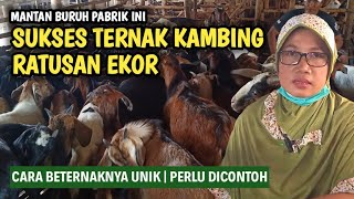 CARA UNIK TERNAK KAMBING KACANG RATUSAN EKOR | @AGROTV9