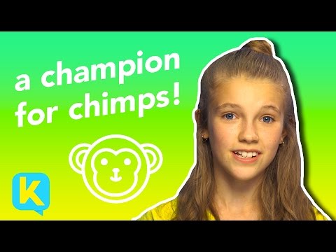 A Champion for