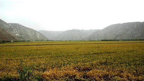 Penman-Monteith method (for evaporation and evapotranspiration)