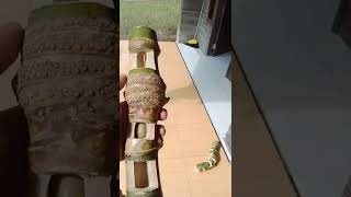 Mustika Bambu Junder Dari Kalimantan