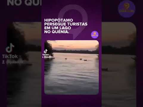 Vídeo: Uma Turista Americana Disse Que Viu Algo 