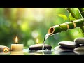 🔴 Relaxing Zen Music 24/7, Stress Relief Music, Sleep Music, Meditation Music, Study, Flowing Stream