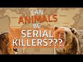 Can Animals be Serial Killers?? - We look at 9 times Animals turned into Man Eaters