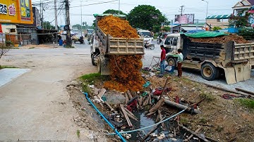 First Start a New Project! Landfill Delete Flooded Canal by Bulldozer D20P & 5Ton Truck Unloading