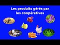 Assurpol-Vidéo Coopératives 17 11 2022