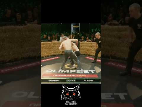 Мощный нокаут на TOP DOG 35 💥Александр Хальзов финишировал Ярослава Чебачева в первом раунде.#Мма