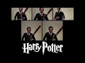 Harry Potter Suite (Bassoon Quintet)