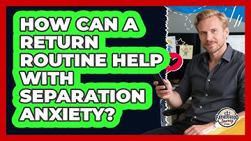 How Can A Return Routine Help With Separation Anxiety?