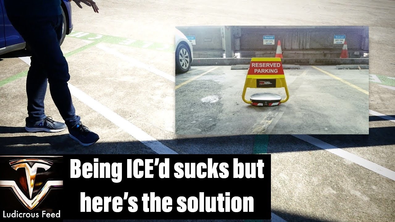 elon gold Being ICE'd sucks but here's the solution