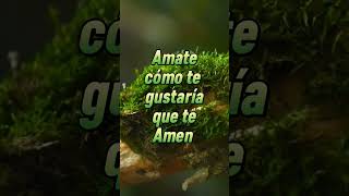 Amate