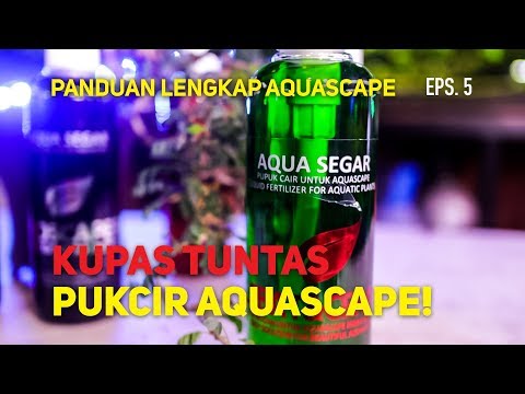 Kupas Tuntas Pupuk Cair Aquascape! - Episode 5