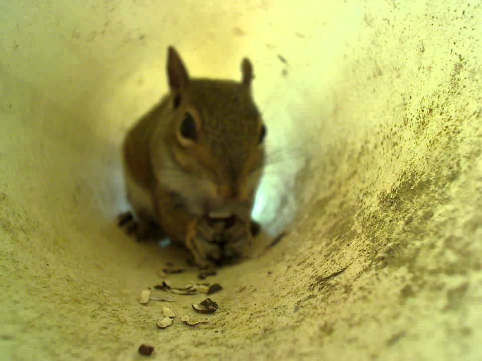 dude, thats totally tubular