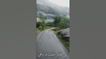 القران الكريم تلاوة ماهر المعيقلي سورة الحج #المصحف #لايك #اكسبلور #راحة_نفسية