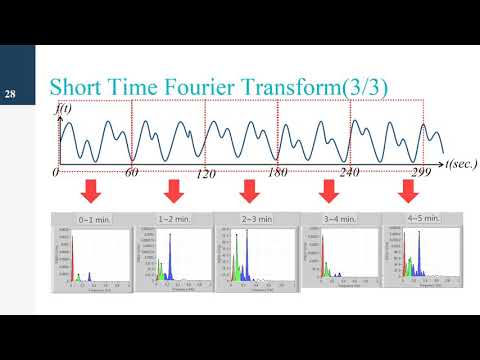 The PPG Physiological Signal