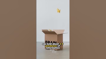 your brain is a super computer #facts #mindblowingfacts