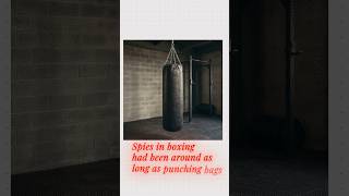 Sugar Ray Leonard Sent a Spy into Hagler's Training Camp