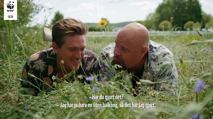 SE DANNY SAUCEDO OCH ANDERS BAGGE GRA SKILLNAD FR ...
