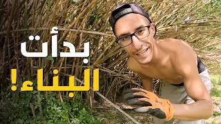 بدأت بناء كوخ Bushcraft في الغابة وسط أجواء العيد مع قط جديد