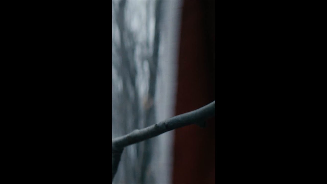 Pláticas entre padre e hijo #TheBoys #AmazonPrimeMx #PrimeVideo