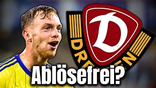 SGD: ABLÖSEFREI IM SOMMER! IST REMCO BALK EIN THEMA FÜR DYNAMO? DYNAMO DRESDEN NEWS
