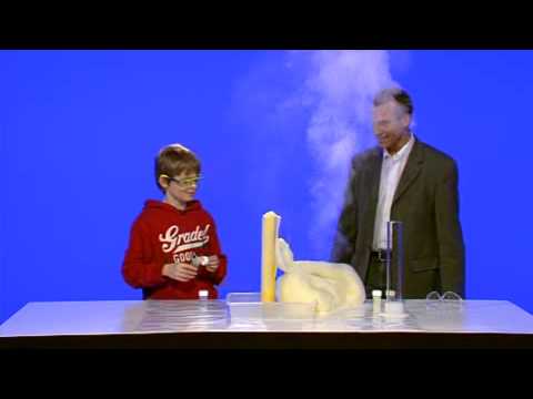 Elefantenkacke - Die preiswertesten Elefantenkacke auf einen Blick