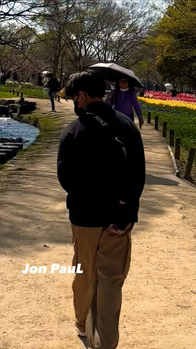 🔵Sakura Japan Osaka Kyoto Tokyo Hokkaido 2023 #youtube #shortsfeed #shorts