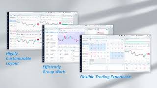 Trading with Multiple Layouts on Webull Desktop Wealth