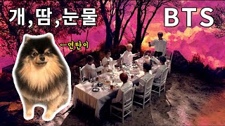 BTS (방탄소년단) blood Sweat & Tears ( Dog cover / Yeontan's band ) 피 땀 눈물 강아지 리믹스