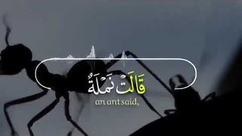 مقطع قصير من سورة النمل 💖