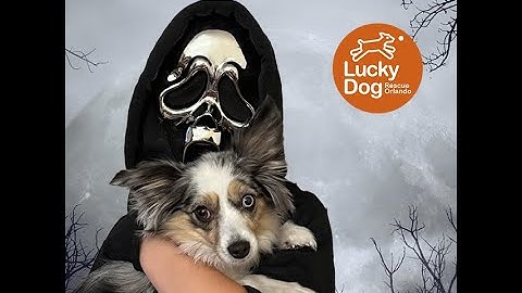 MorrowA MDM555 Wk4 RadioAd2 Final