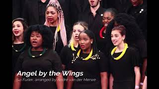 Angel by the Wings - Stellenbosch University Choir Resimi
