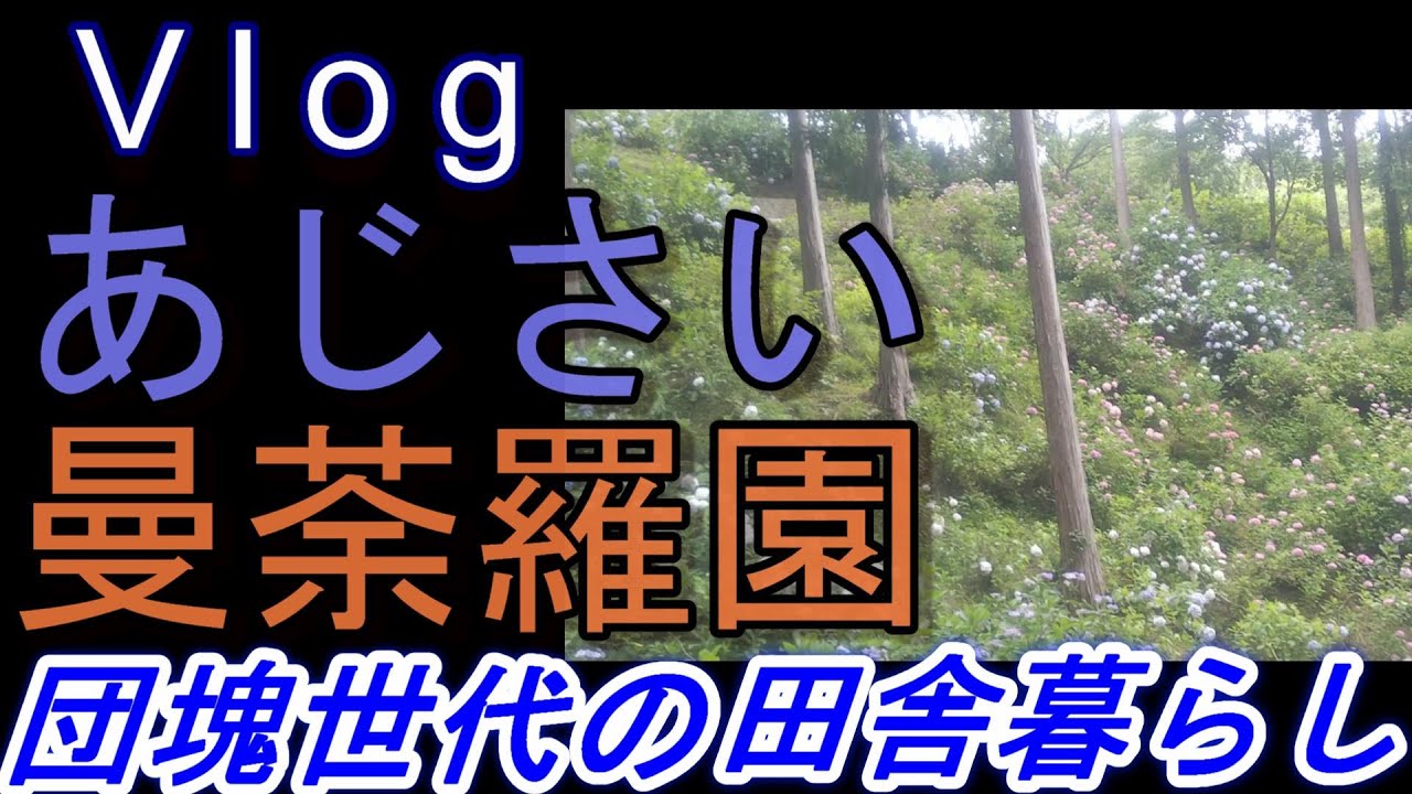 あじさい曼荼羅園 Youtube あじさい曼荼羅園 Youtube