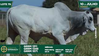 LOTE 79 GRRM 1348 1311 1571