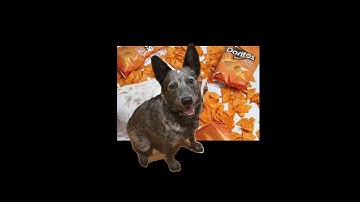 Our Project 1 for Creative Engineering with Mark Rober