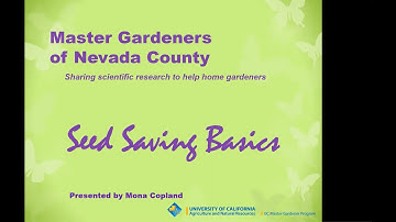 Seed Saving Basics Part 1 of 3 Video of MGNC workshop Aug 1 2020
