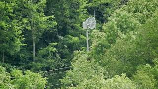 American Signal T-128 | Alert | Valley View, KY @4J25