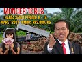 HARGA SAWIT PERIODE 8 - 14 MARET 2023 NAIK LAGI, TEMBUS Rp2.889/Kg #viral #sawit #petani