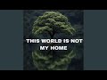 This World Is Not My Home