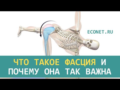 Что такое фасция
