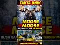 FAKTA UNIK. MOOSE ( RUSA TERBESAR ) #faktahewan #faktaunik #animals #shortvideo #shorts #moose