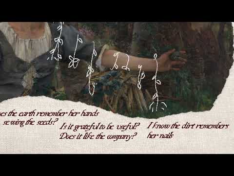 Delaney Bailey - Wella (Official Lyric Video)