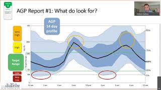 Use Your AGP Report to Increase Your Time in Range: 3 Examples and Success Stories