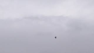 【百里基地航空祭2018】航空自衛隊 RF‐4EJ偵察機 偵察飛行⑦ 2018.12.02