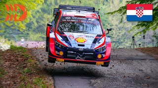 Best of Croatia Rally 2022 - Crashes, Action and Raw Sound